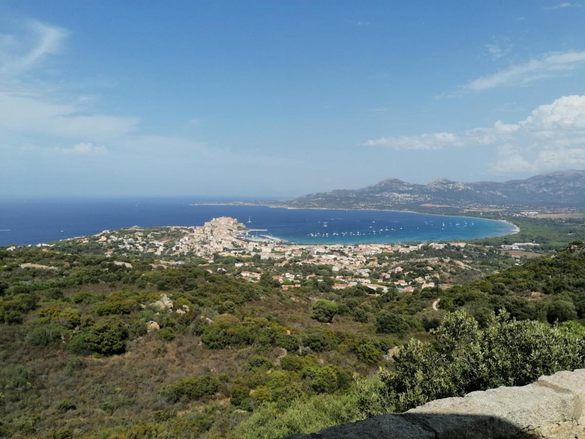 Appartement Residence Les Eucalyptus L'Ile-Rousse  Luaran gambar